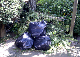 Garden Waste Clearance