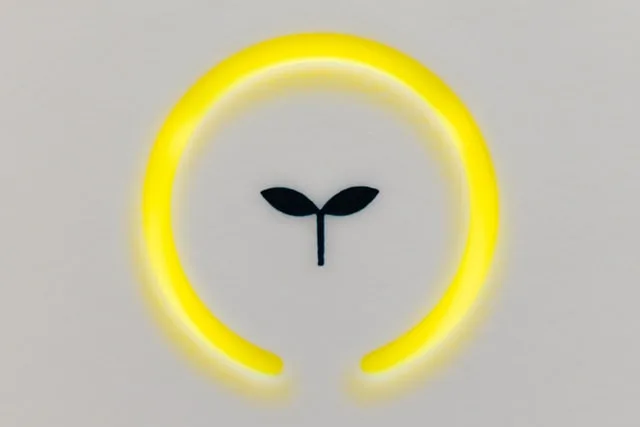 symbol-of-green-thinking-leaf